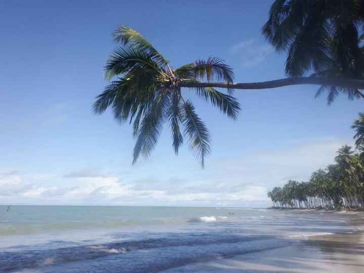 Praia dos Carneiros