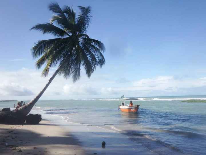 Praia dos Carneiros