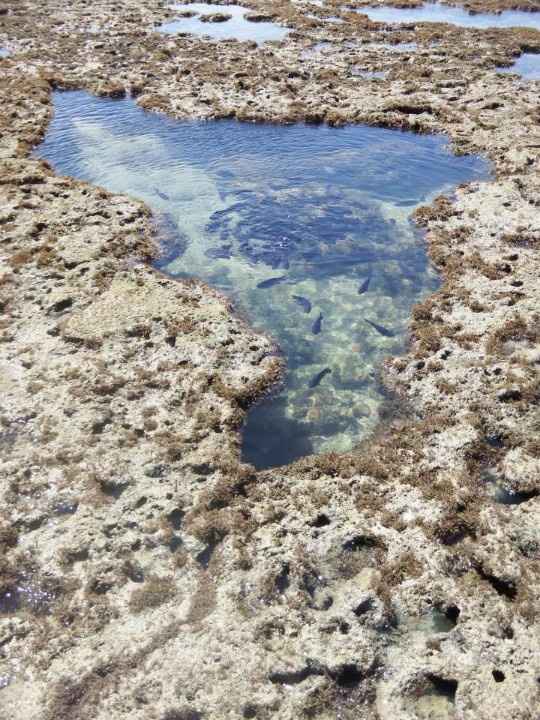 Piscinas naturais de Porto