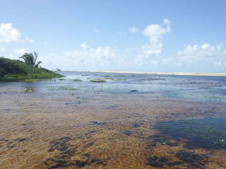 Barra de Punau