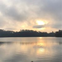 casamento oficial - 9