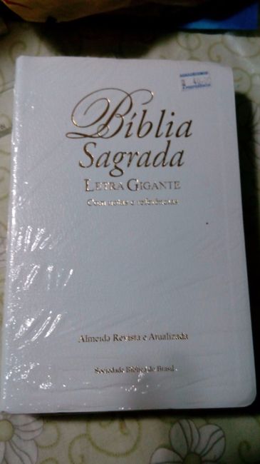 Achei a blíbia na cor que eu queria.