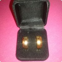 Minhas alianças chegaram 