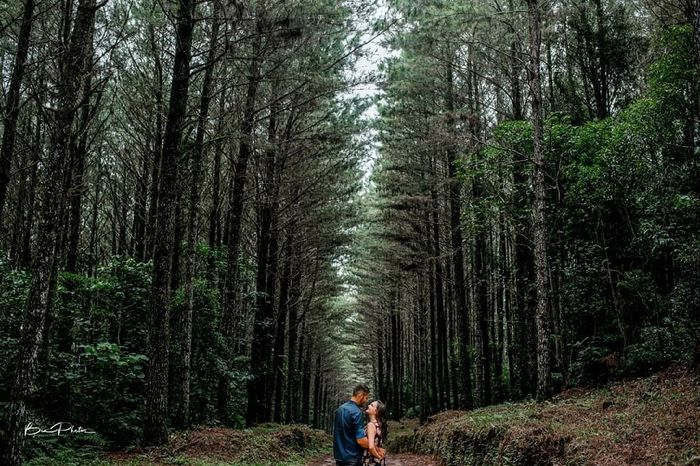 Pré wedding no campo Jaraguá do Sul-sc 3