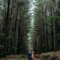 Pré wedding no campo Jaraguá do Sul-sc - 3
