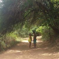 Passeio