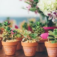 Inspiração Lembrancinhas