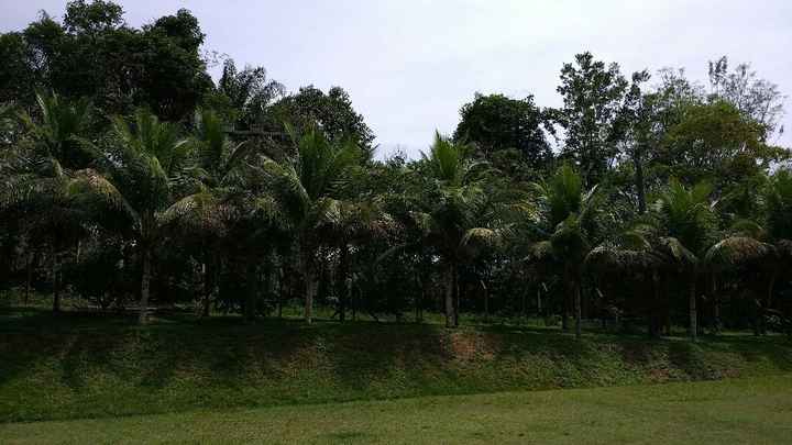 Fechei nosso espaço #venham ver - 1
