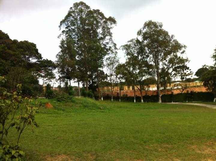 Sitio - 6