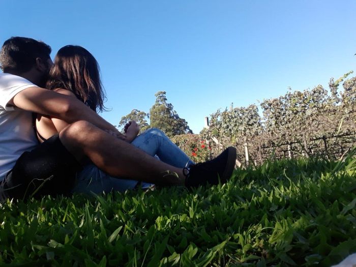 Visitando as vinículas