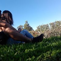 Visitando as vinículas