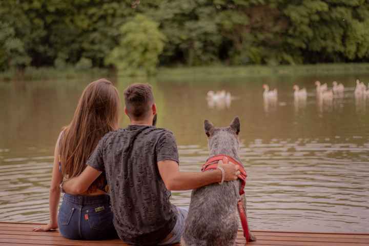 pre-wedding