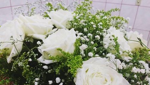 Minhas rosas