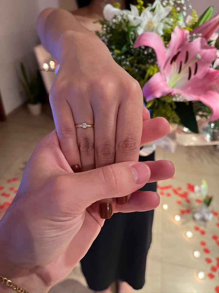 Pedido de noivado e início da organização do casamento ! - 1