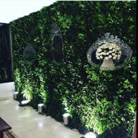Parede de folhagem
