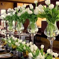 Decoração Tulipas