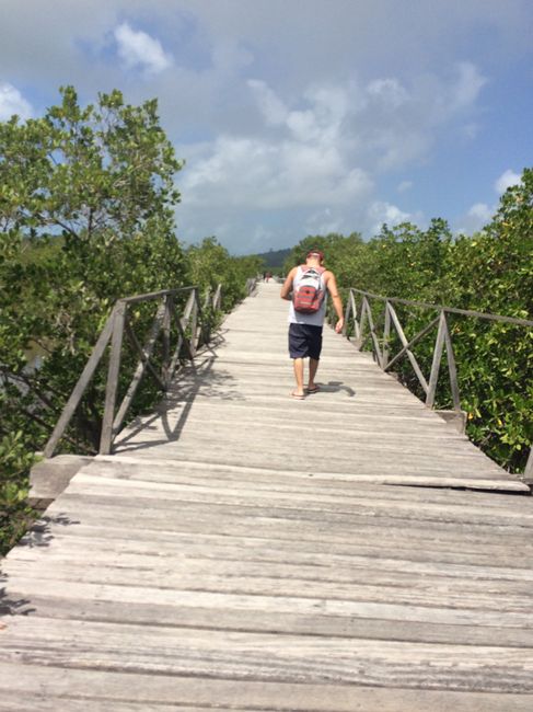  Lua de mel - Um paraíso chamado Porto de Galinhas ❣️ - 19