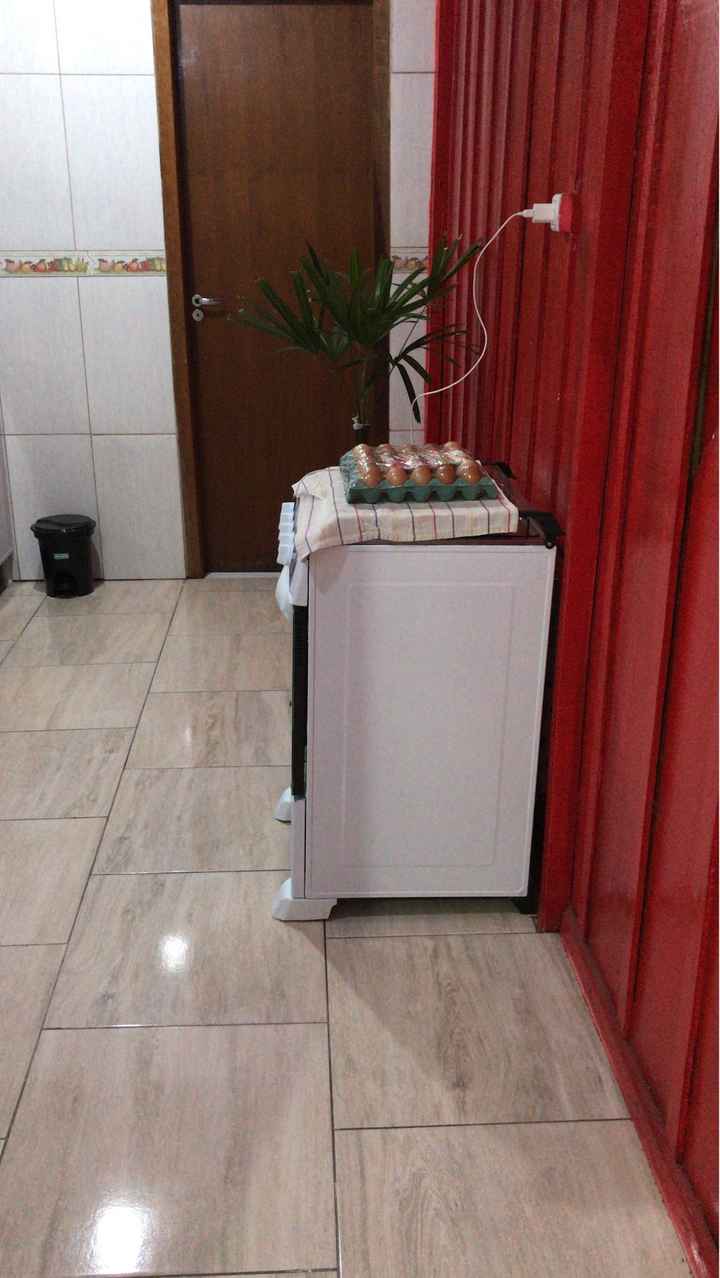 Reforma da casa - 1