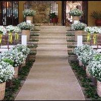 Decoração com a flor "mosquitinho" - 1