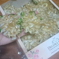 As forminhas de doces chegaram! - 2