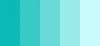 Minhas cores