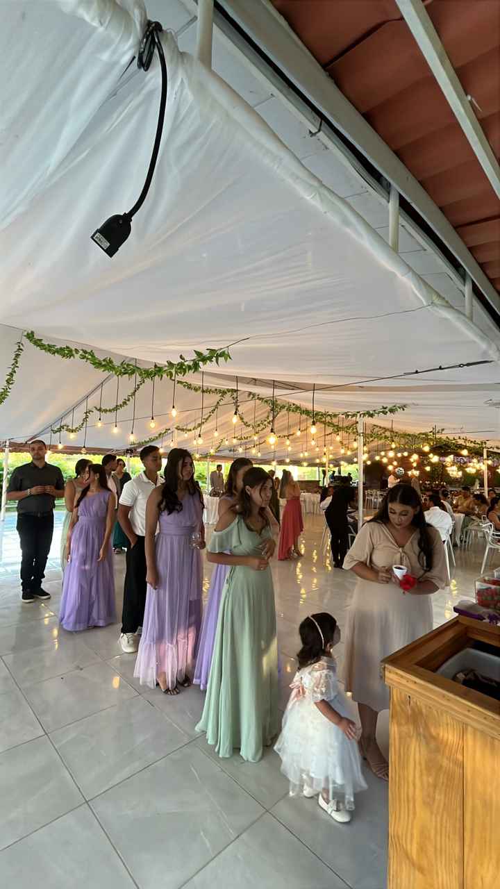Ilha do Açaí - 4