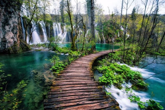 Vamos passear por dentro do National Park?