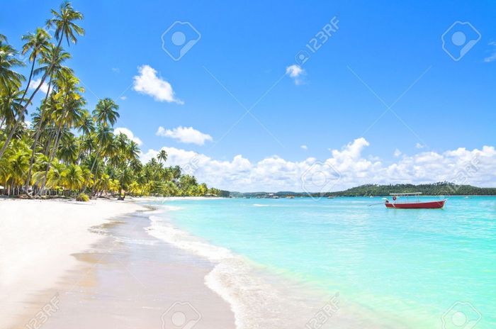 Lua de Mel - Porto de Galinhas e Maragogi - 2