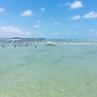 Praia dos Carneiros - PE
