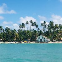 Praia dos Carneiros - PE