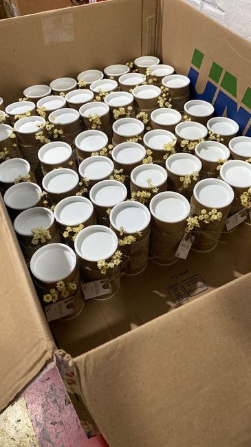 Lembrancinha será essa? 6