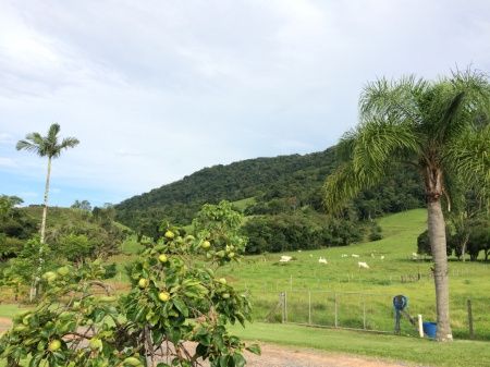 Onde será o seu casamento? - 4