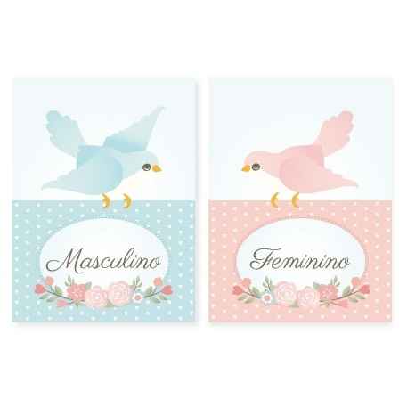 placas 