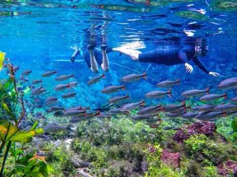 Bonito, Mato Grosso do Sul