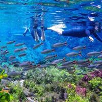 Bonito, Mato Grosso do Sul