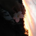 Brunna