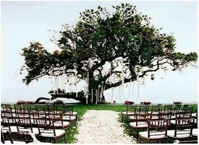 Casamento embaixo da árvore construído para gente 1