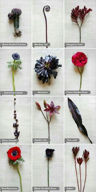  Escolhendo as flores do Buquê e decoração  !!!? ❤ - 7