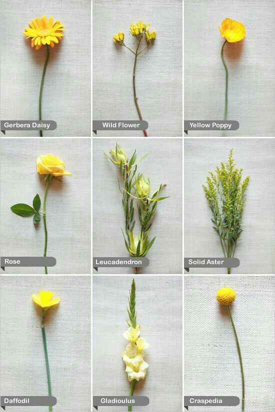  Escolhendo as flores do Buquê e decoração  !!!? ❤ - 3
