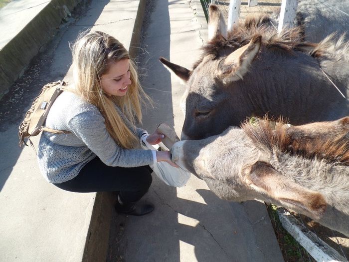 Zoo de Lujan