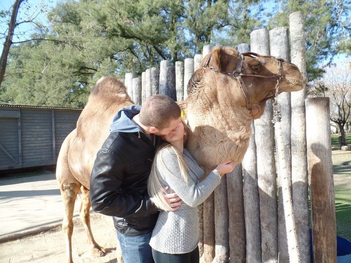 Zoo de Lujan