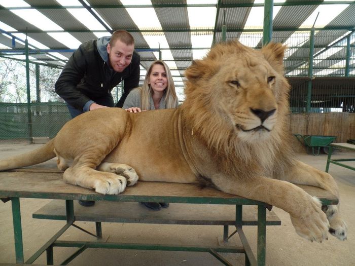 Zoo de Lujan