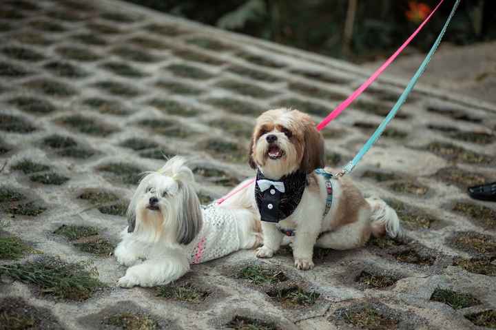 Ludy e axl