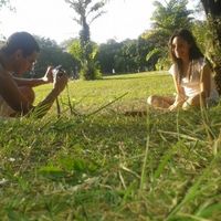 Fotos para a decoração do casamento já começaram a surgir