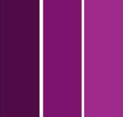 Paleta de cores das Madrinhas!! - 9