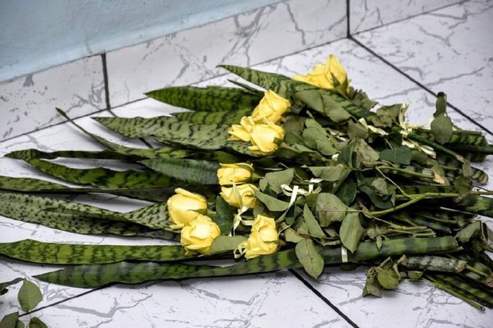 Meu casamento religioso (noiva extremamente ansiosa.... e louca) - 6