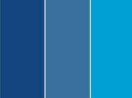 Paleta de cores das Madrinhas!! - 3