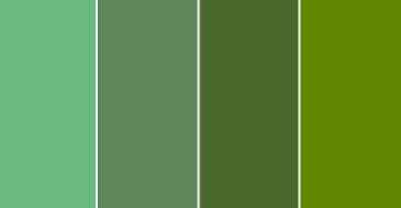 Paleta de cores das Madrinhas!! - 7