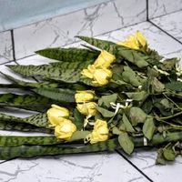 Meu casamento religioso (noiva extremamente ansiosa.... e louca) - 6