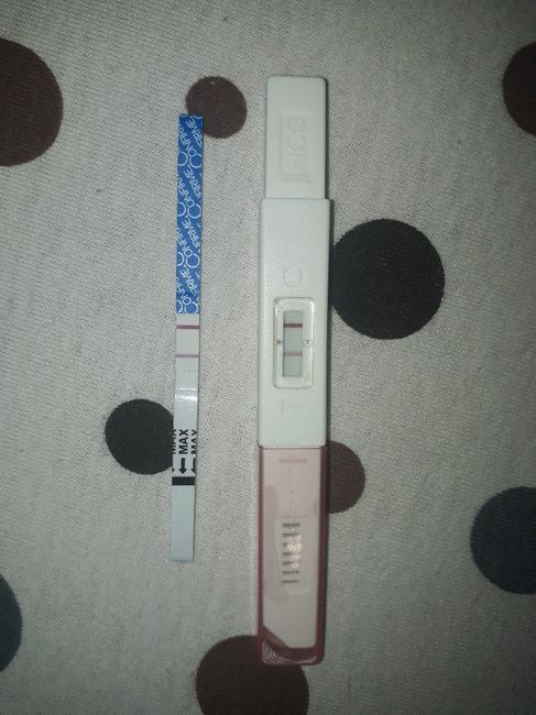 🤰família crescendo - 2